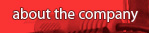 about the company